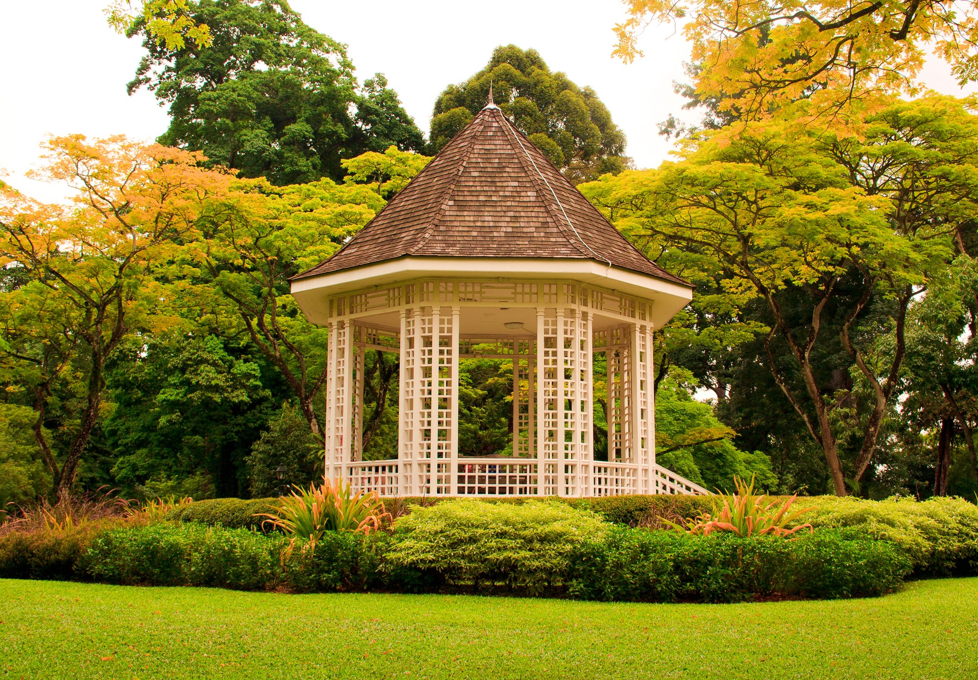 A charming white gazebo stands in a lush garden, surrounded by vibrant green foliage and trees, showcasing a serene outdoor space.