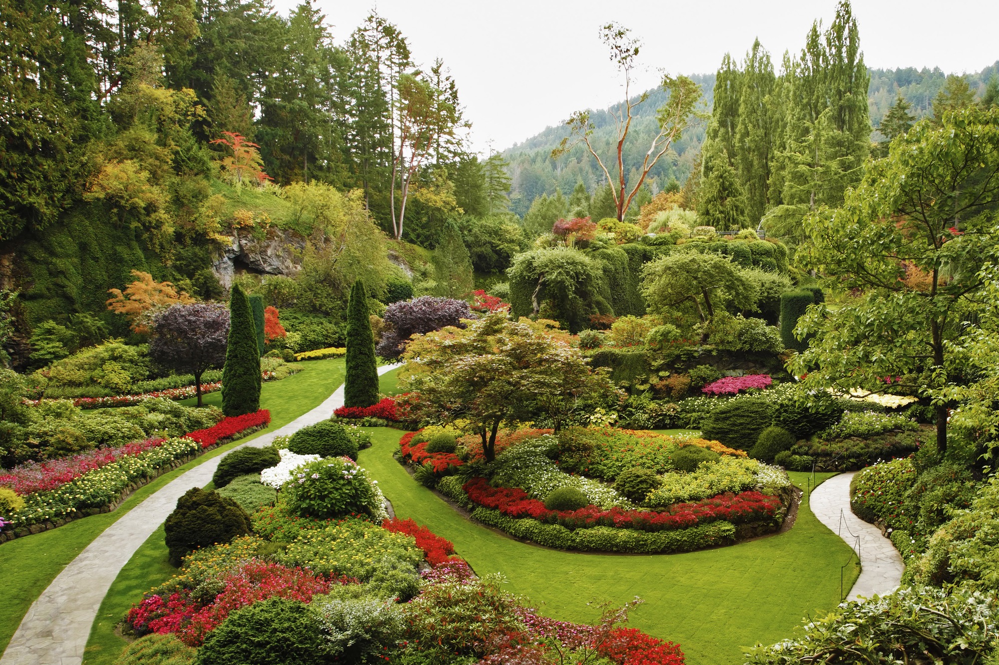 Lush botanical garden with vibrant flowerbeds and meandering pathways, framed by trees and hills, showcasing nature's beauty and tranquility.