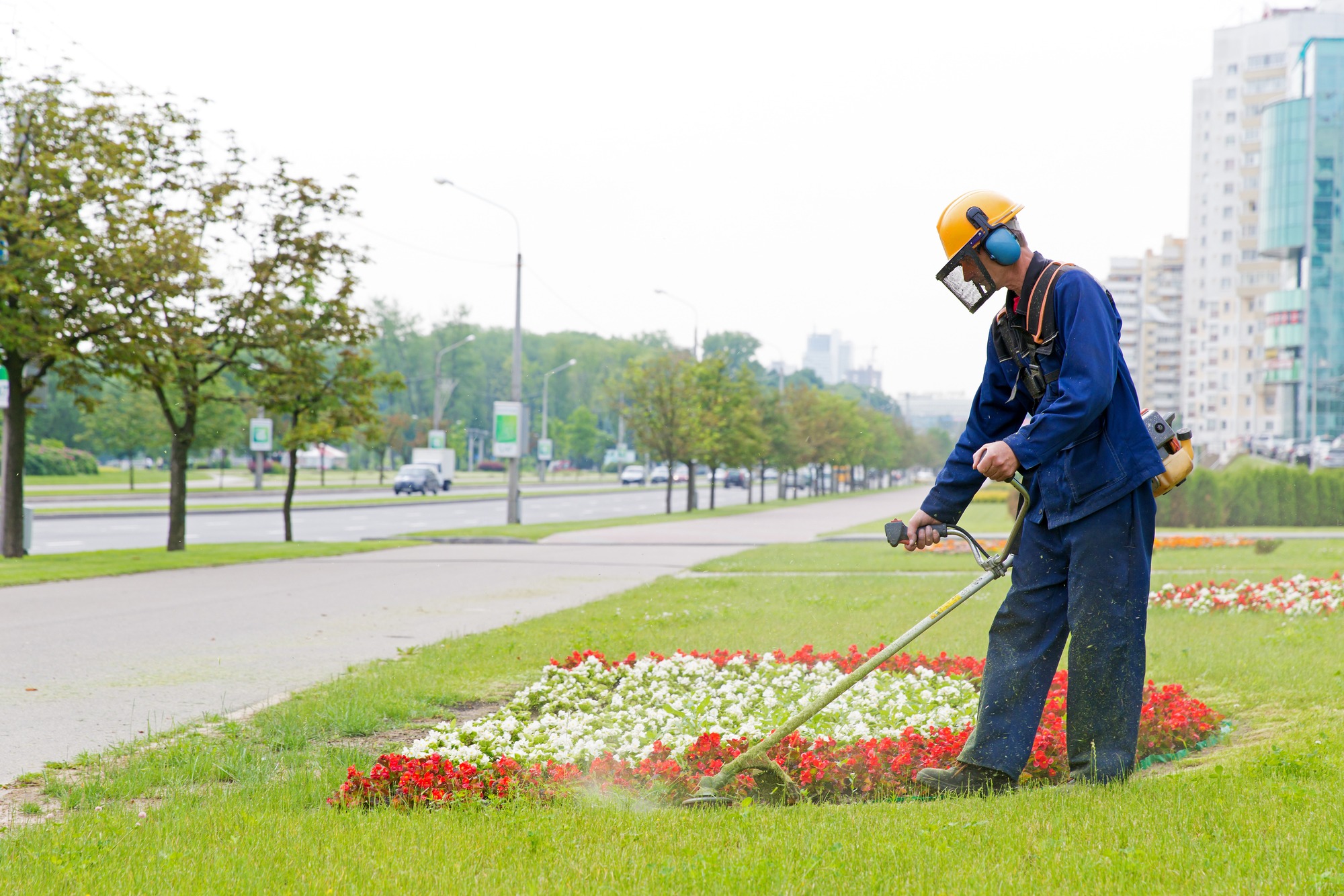 Landscape worker using a string trimmer to maintain flower beds in a city park, enhancing green spaces near a busy road.